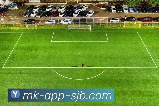 数据防护可视化